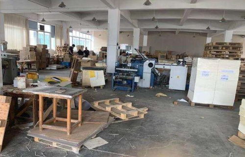 溫州富婆10年付出600萬(wàn)包養(yǎng)男友，卻遭拳擊身亡，愛與背叛的警示